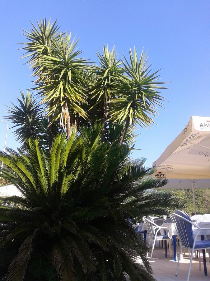 Hotel Jovana Budva Exterior photo